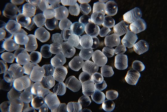 Butiran TPE Tembus Transparan Pelet TPE Super Lembut SEBS Elastomer Termoplastik